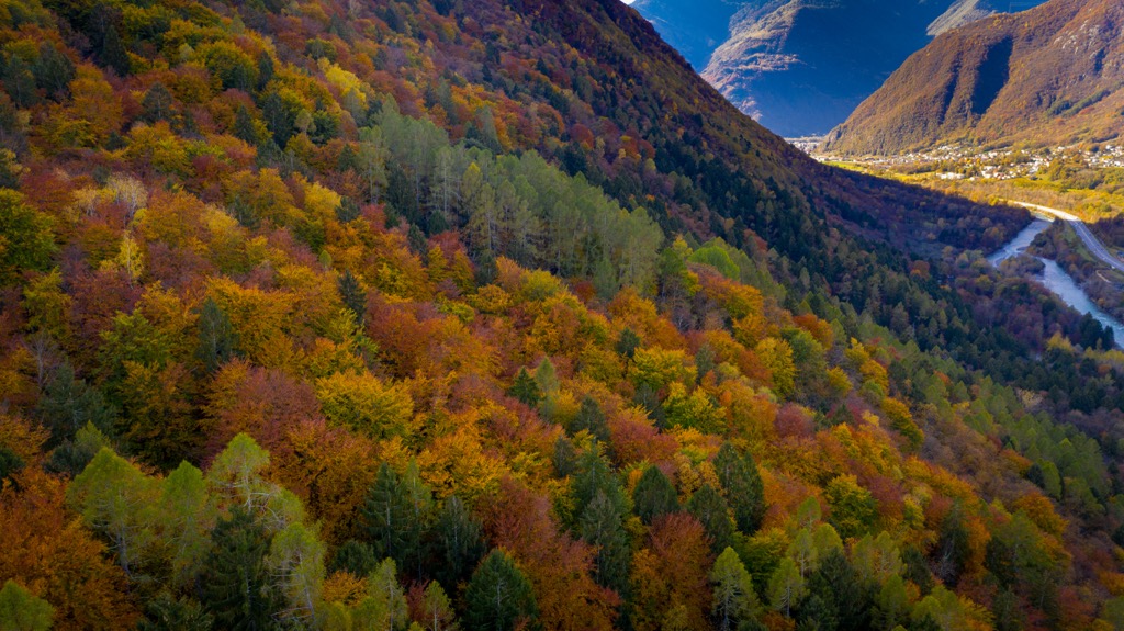 Riserva naturale regionale della Val Alba
