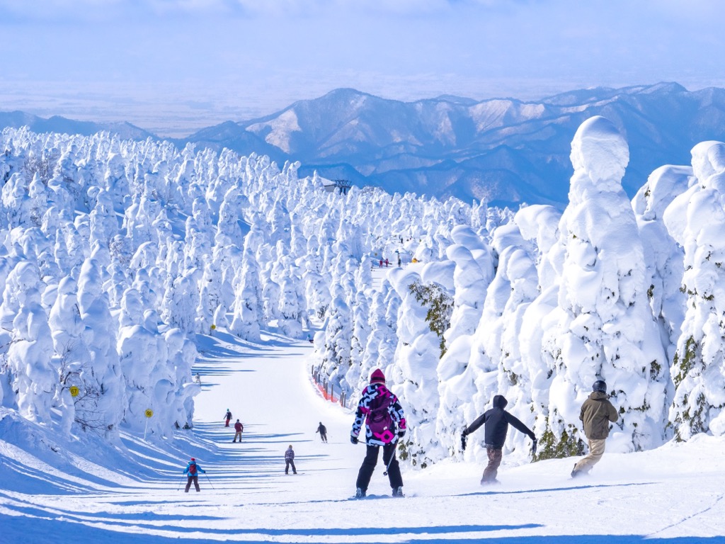 Zao-onsen ski resort, Yamagata, Japan Skiing