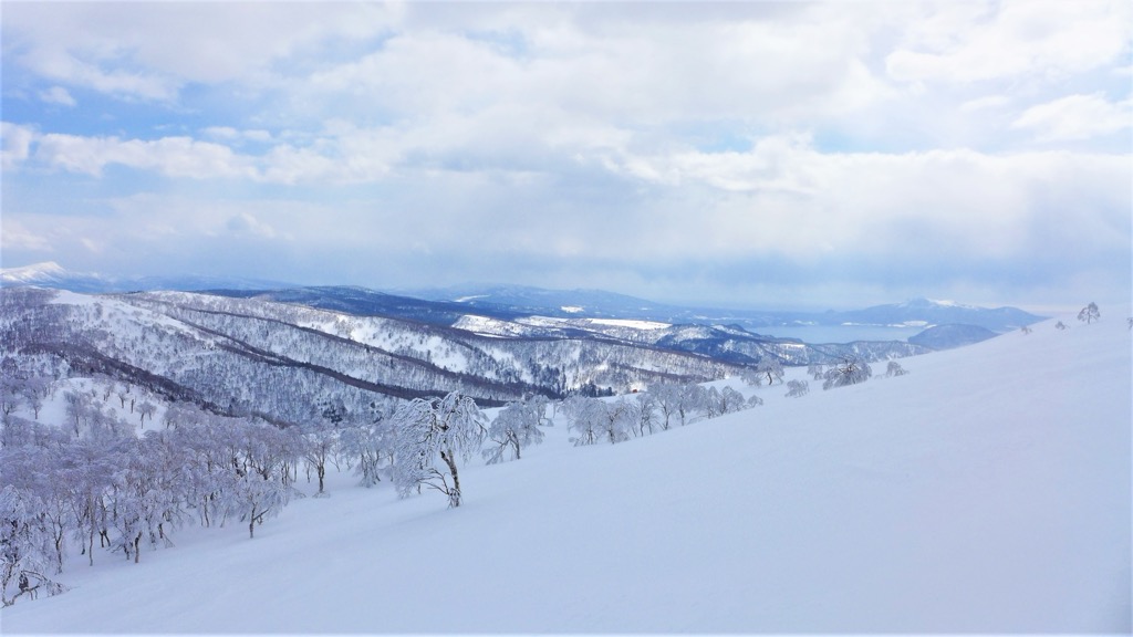 The magic forests of Rusutsu have come to define Hokkaido powder skiing. Japan Skiing