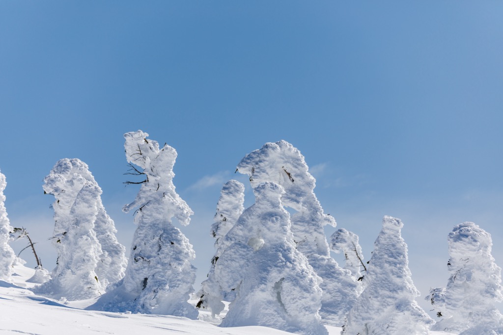 Snow monsters in Ani. Japan Skiing