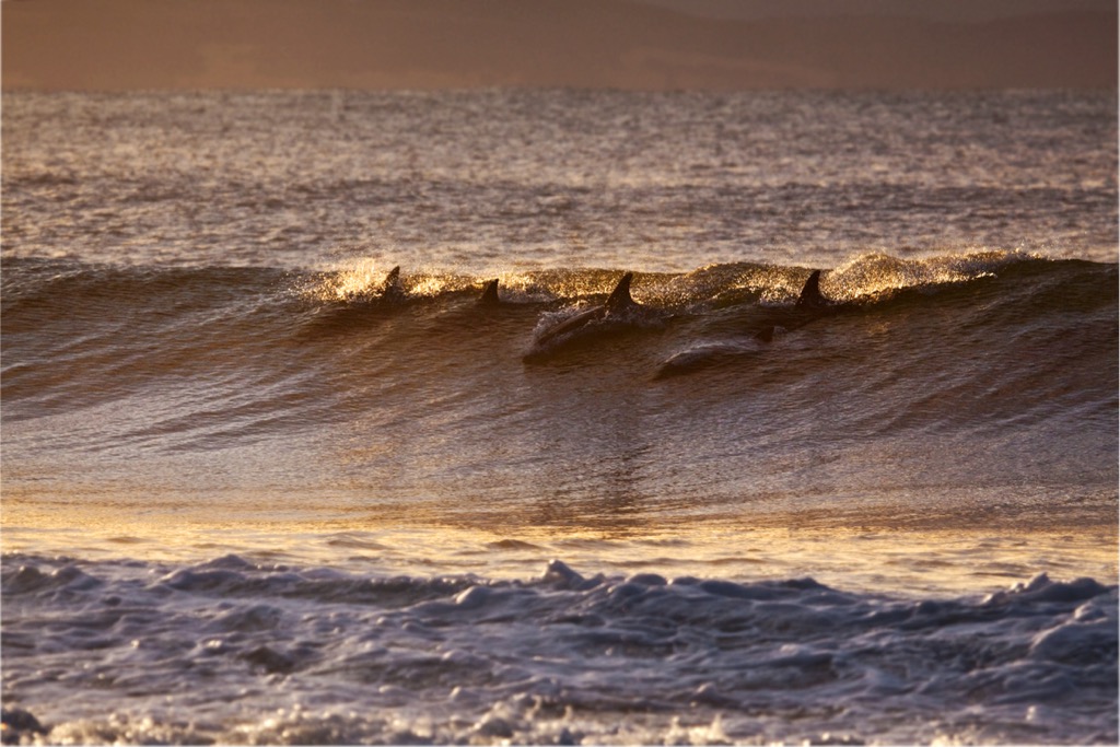 South Africa, Jeffreys Bay