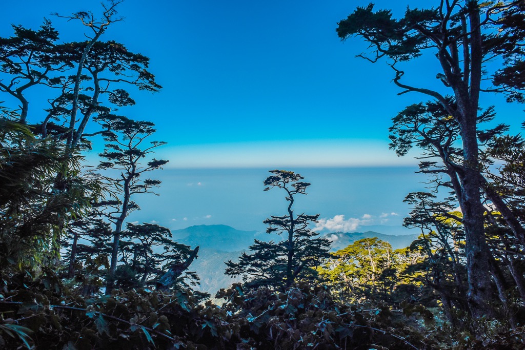 Jinshuiying Major Wildlife Habitat, Taiwan