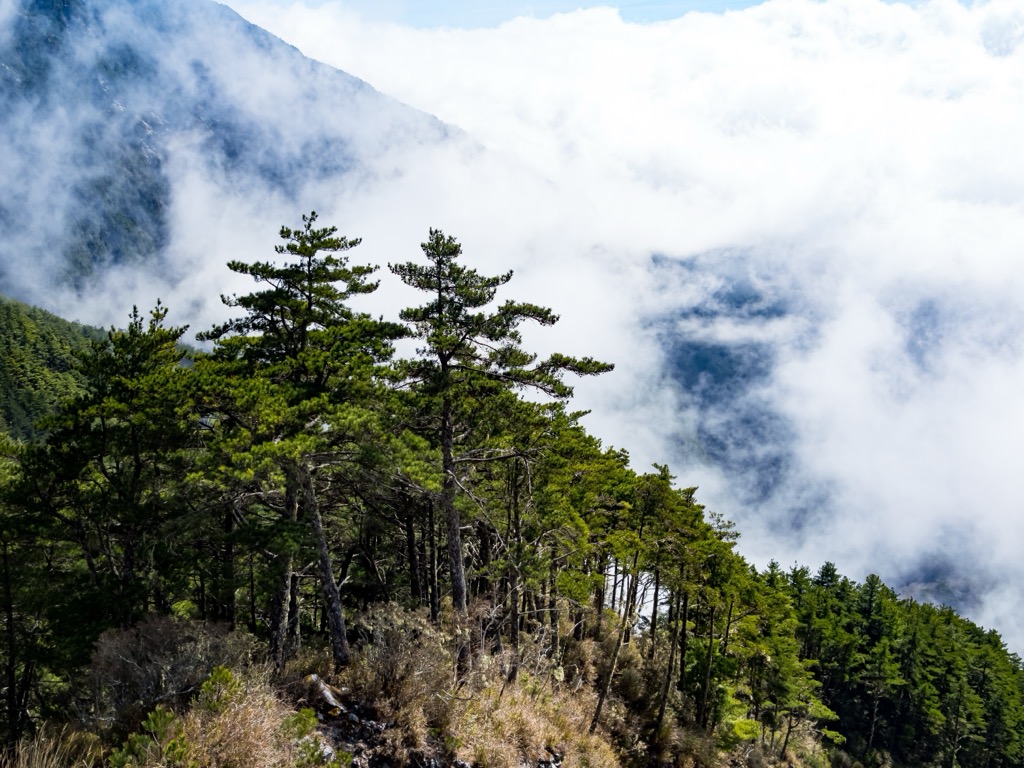 Jinshuiying Major Wildlife Habitat, Taiwan