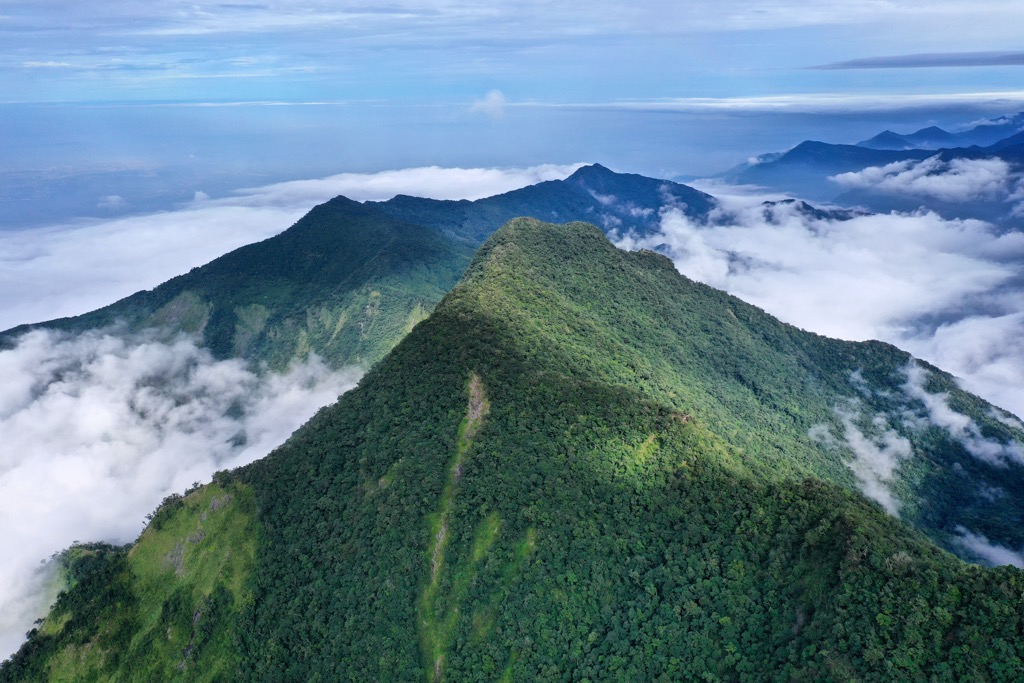 Jinshuiying Major Wildlife Habitat, Taiwan