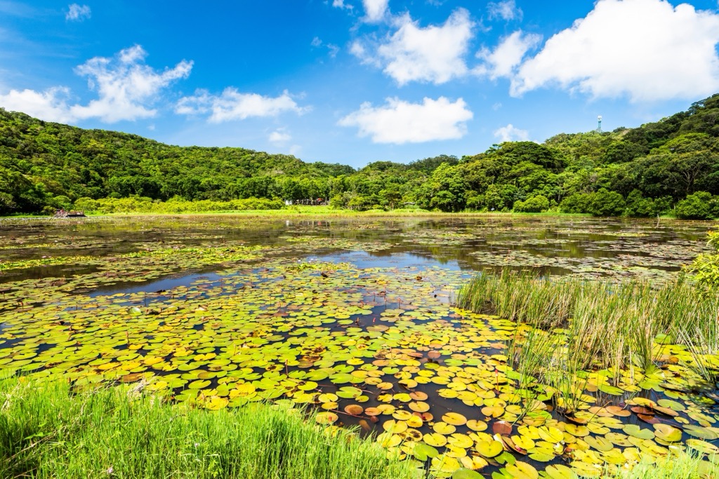 Jiupeng Great Desert, Taiwan