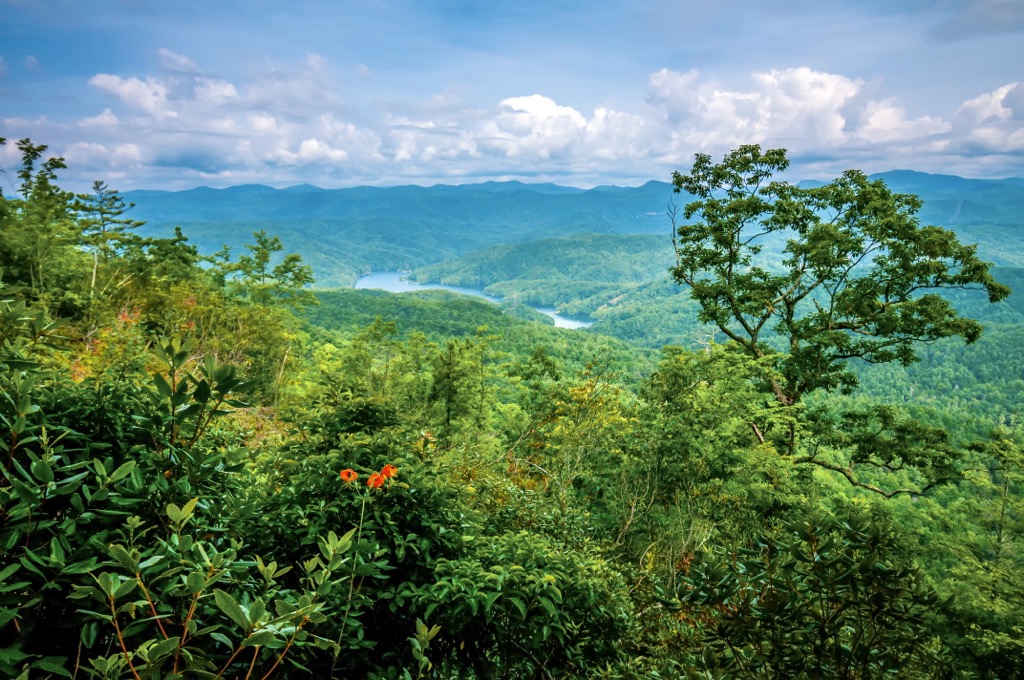 Jocassee Gorges Wildlife Management Area, South Carolina