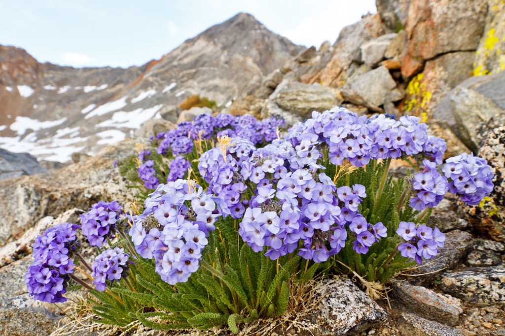 Mount Whitney, John Muir Wilderness, California