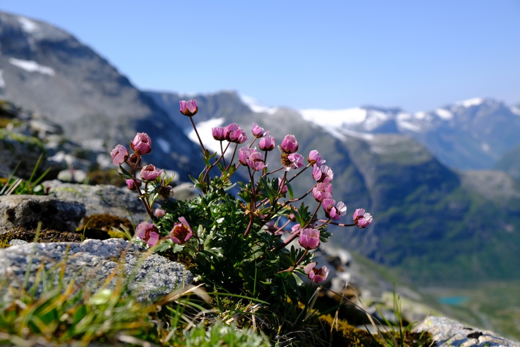 Jostedalsbreen National Park, Norway
