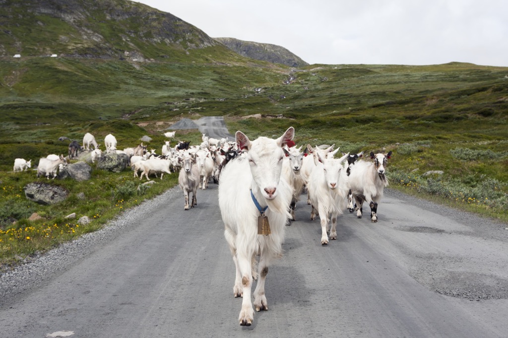 Jotunheimen National Park, Norway