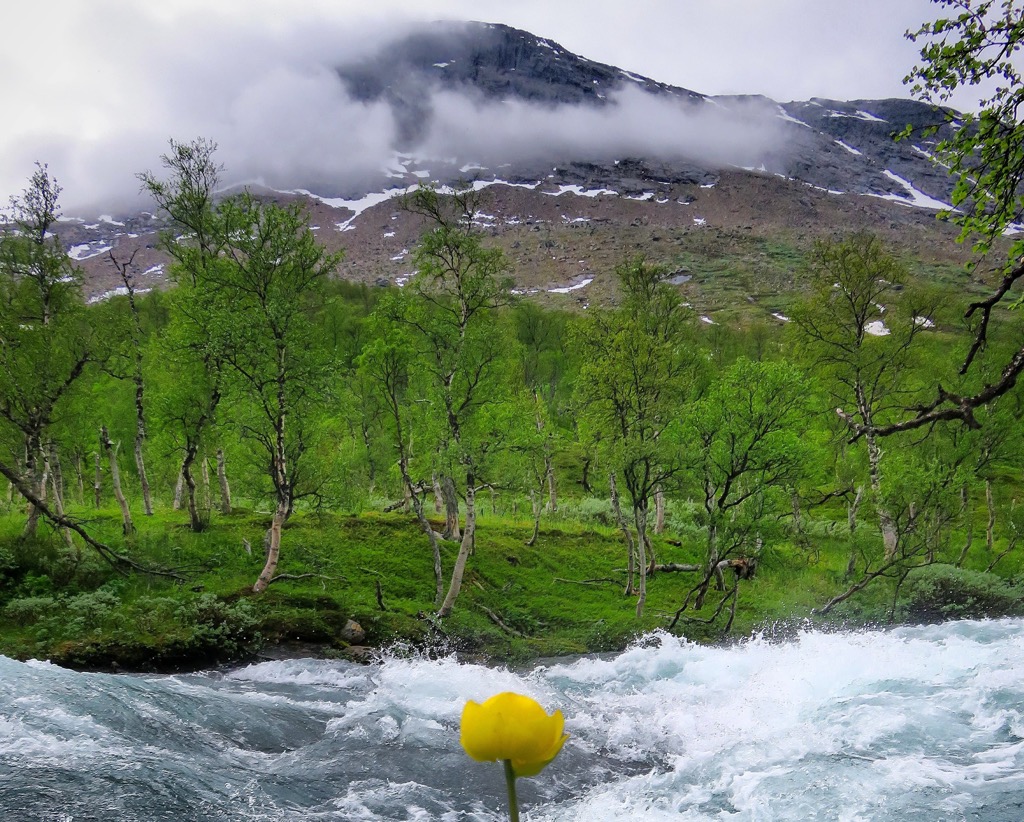  Junkerdal National Park, Norway