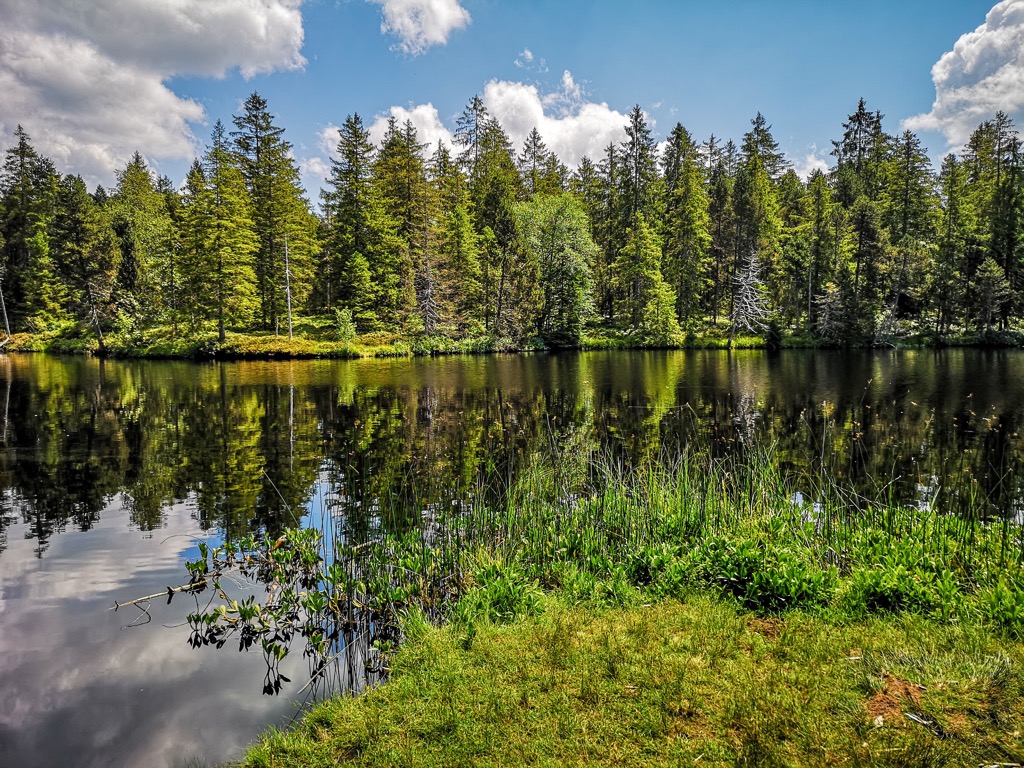 Pond of the Gruère, Jura, Switzerland