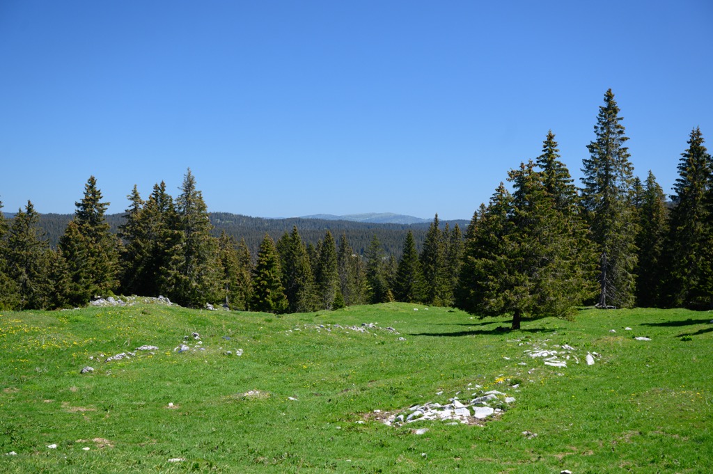 The Jura Crest Trail in the Jura Vaudois. Jura Vaudois