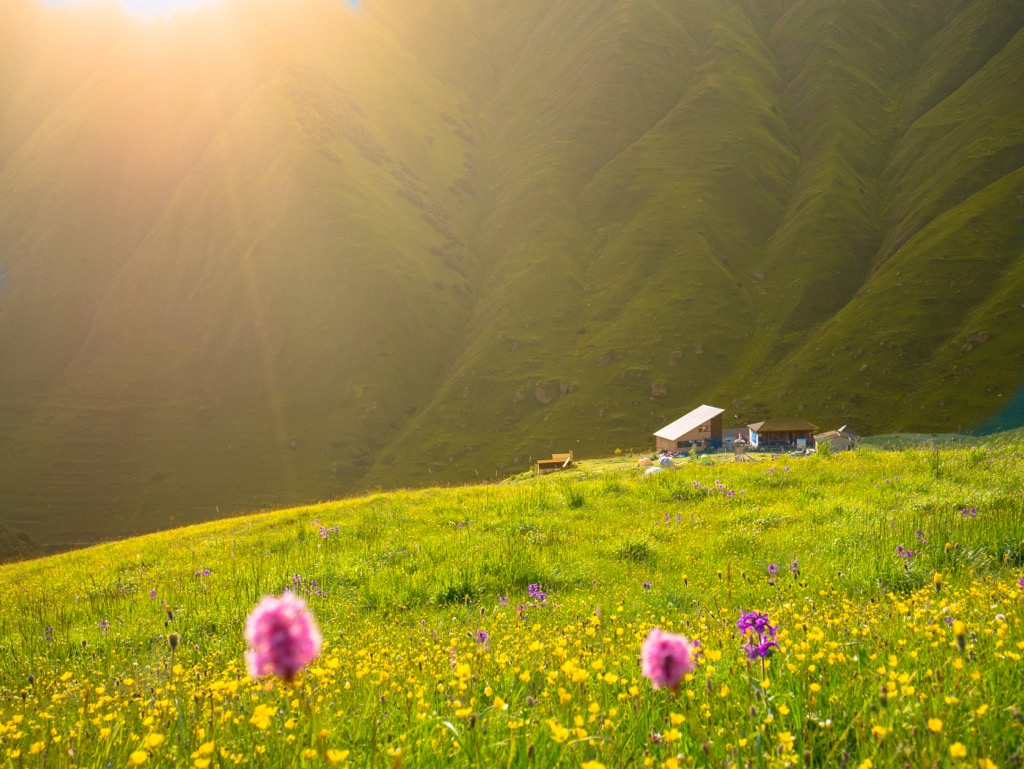 Zeta Camping, Juta, Georgia