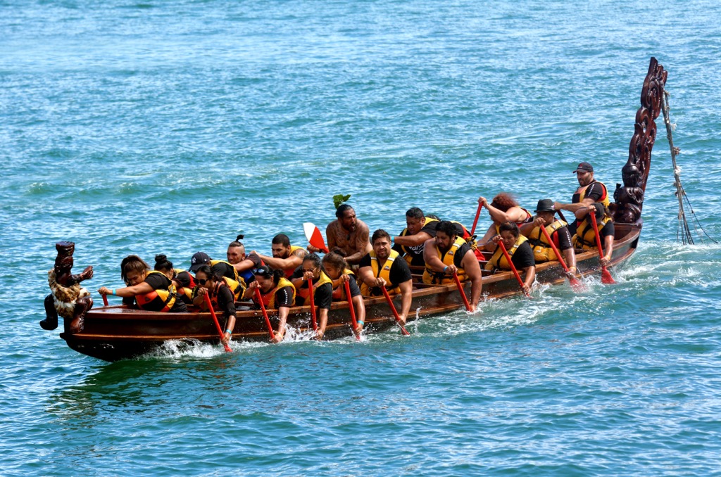 The Māori crossed the Pacific in canoes, Kahurangi National Park, New Zealand