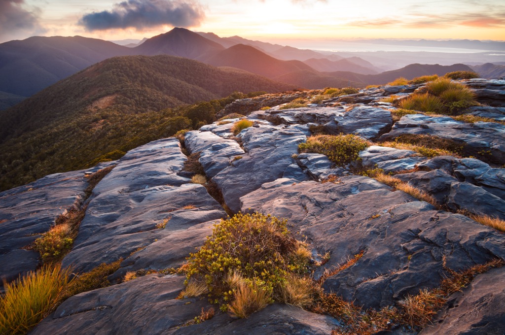 Mount Arthur, Kahurangi National Park, New Zealand