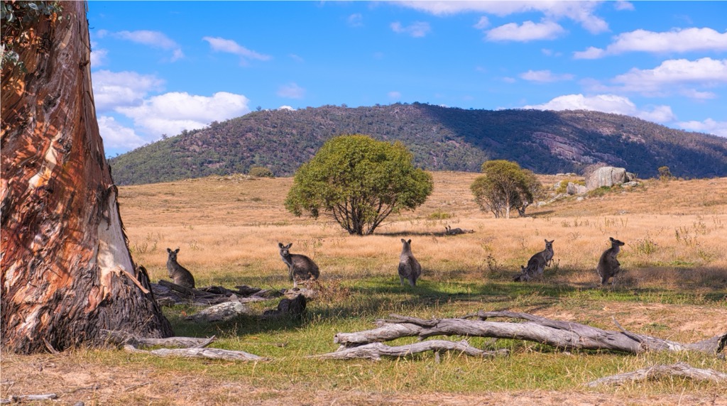 Namadgi National Park- Worldtrip