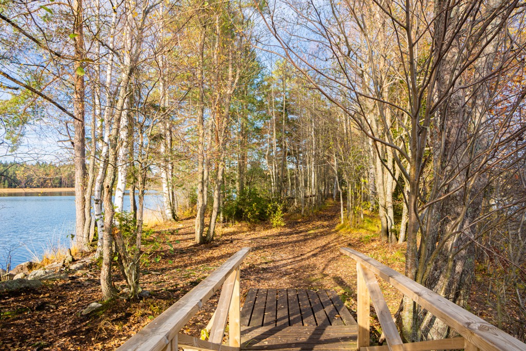 Liesjärvi National Park, Kanta-Häme or Tavastia Proper , Finland