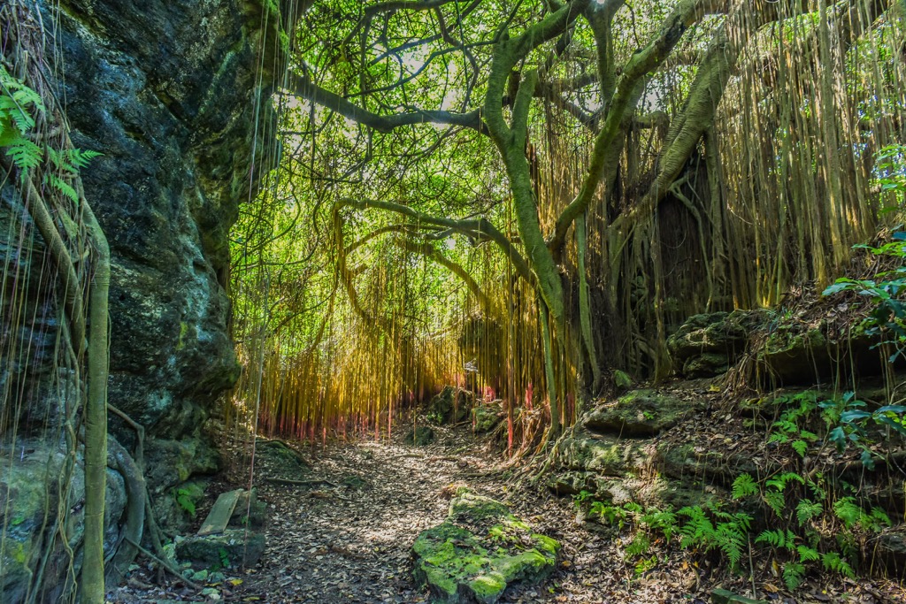 Shoushan National Nature Park, Taiwan, Kaohsiung City