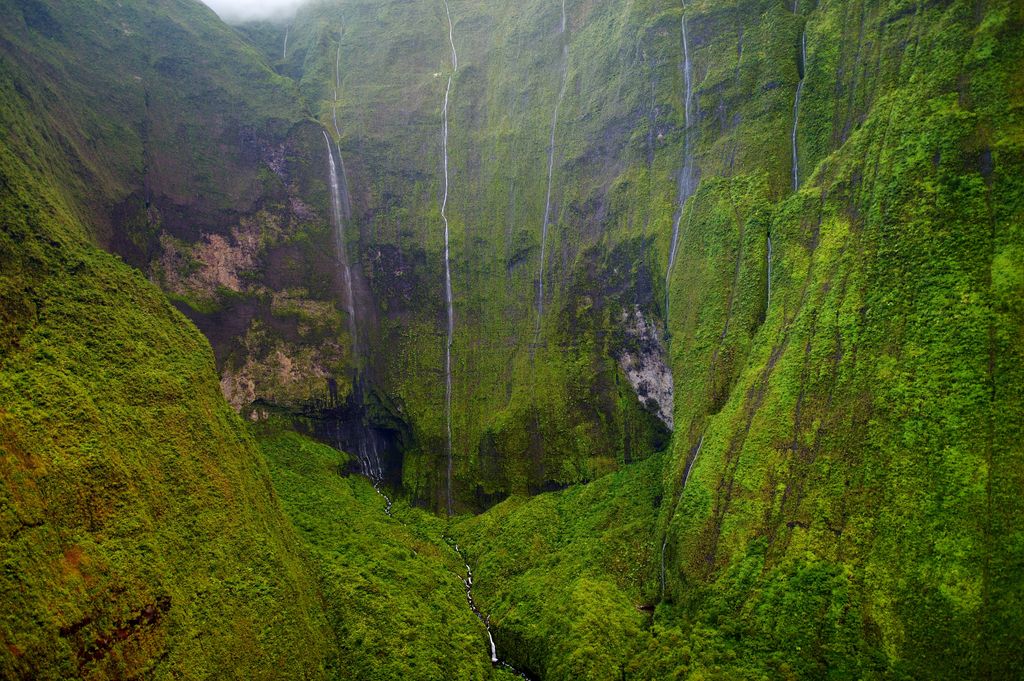 Near the summit of Waialeale, the wettest place on earth. Kauai County