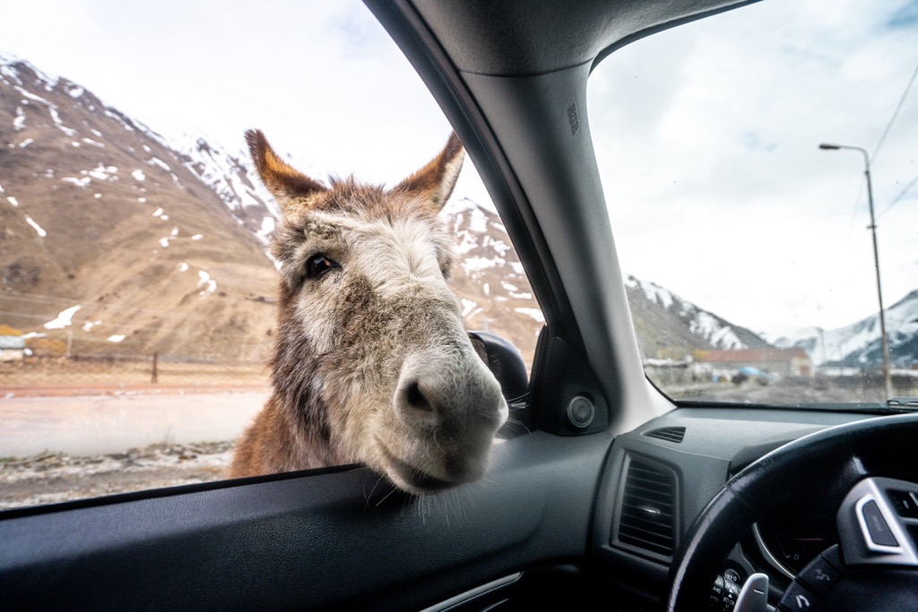 To Kazbegi,  Georgia