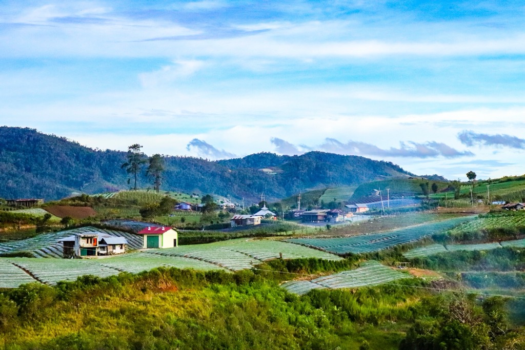 Farms in the Kerinci Seblat Valley. Kerinci Seblat Park