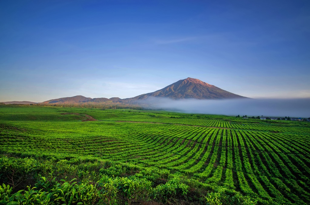 Gunung Kerinci, Kerinci Seblat National Park. Kerinci Seblat Park