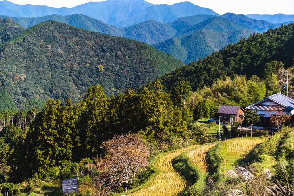 Kumano Kodo, Kii Mountains, Japan