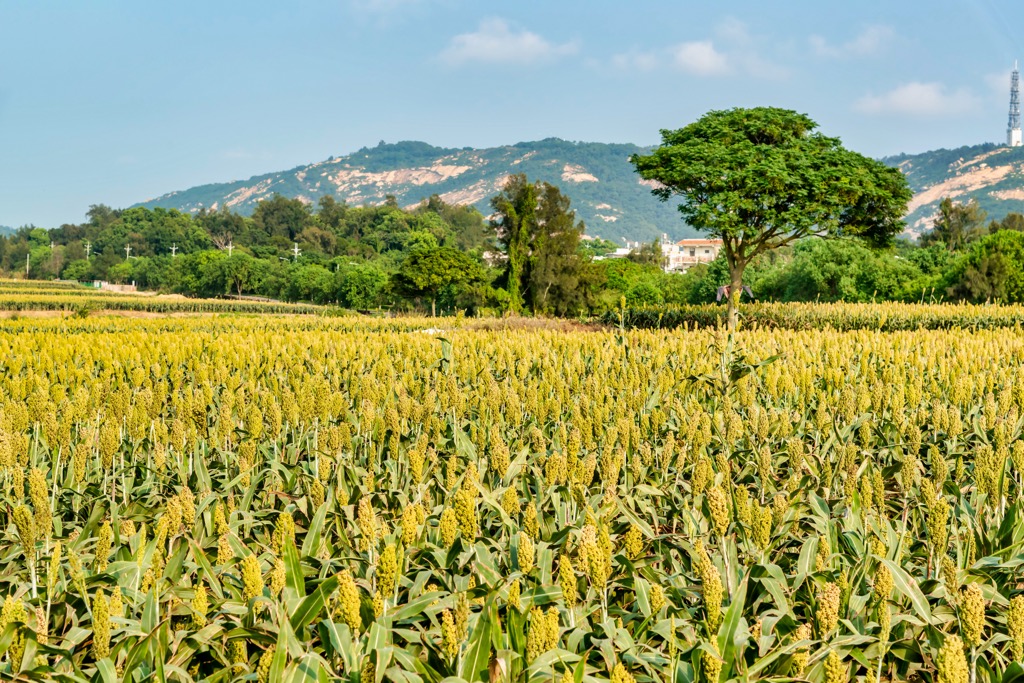 Kinmen County, China