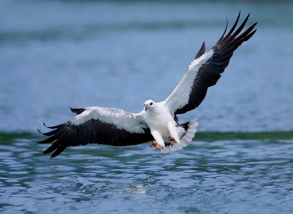 Kiu Tsui Country Park, Hong Kong