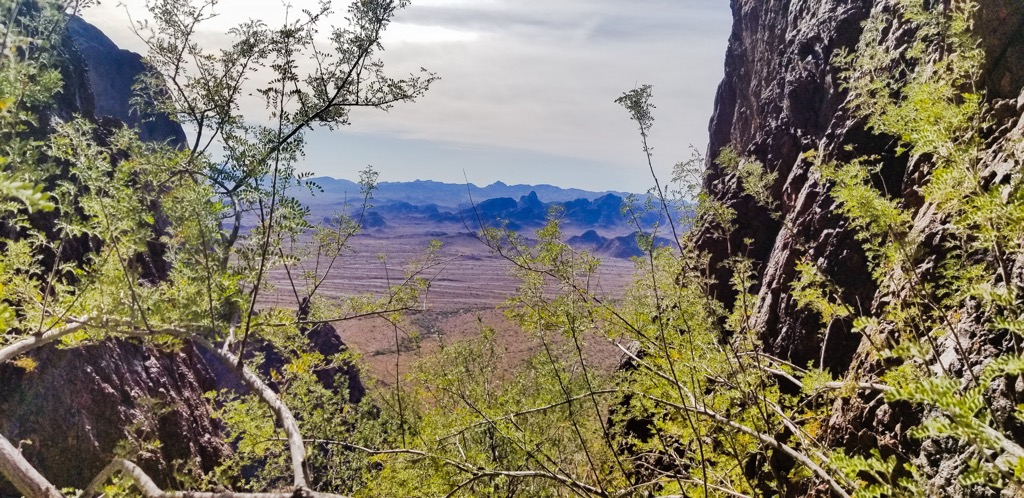 Kofa National Wildlife Refuge, Arizona