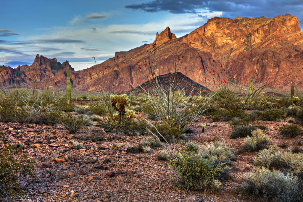 Kofa National Wildlife Refuge, Arizona