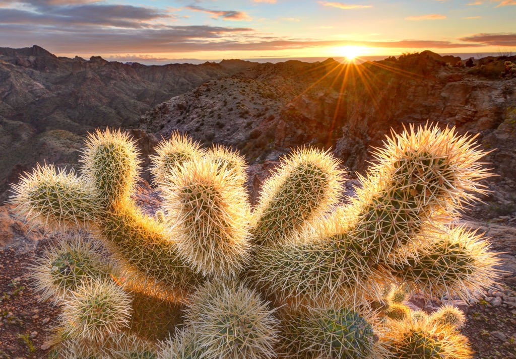 Kofa Wilderness, Arizona