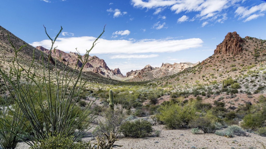 Castle Dome, Kofa Wilderness, Arizona