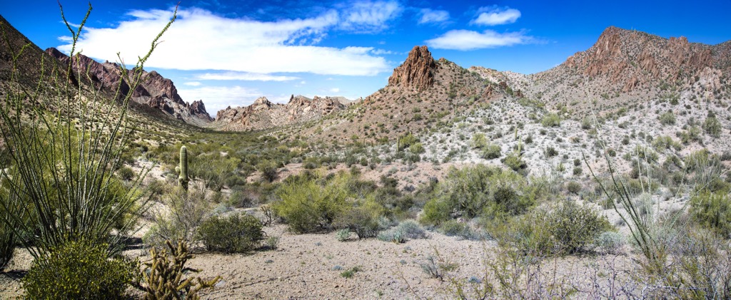 Kofa Wilderness, Arizona