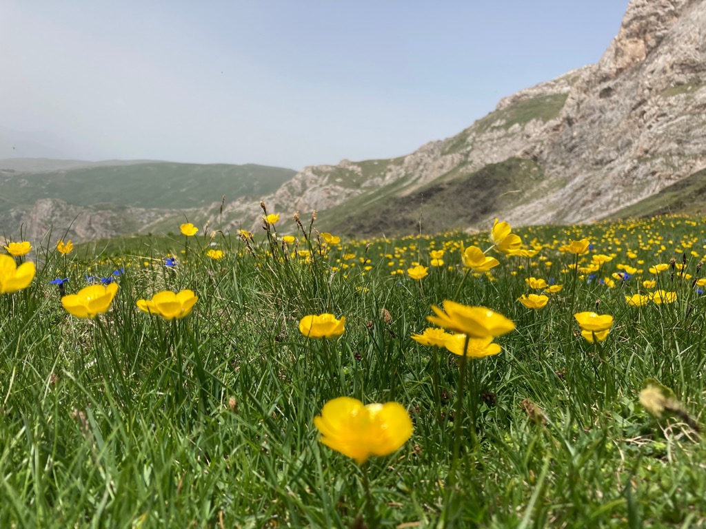 Korab-Koritnik Nature Park, Albania