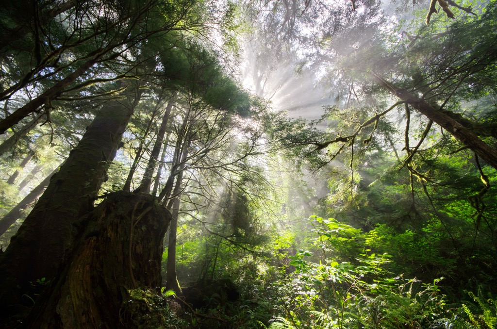 Tahsish Kwois Provincial Park, Kyuquot Sound, Vancouver Island