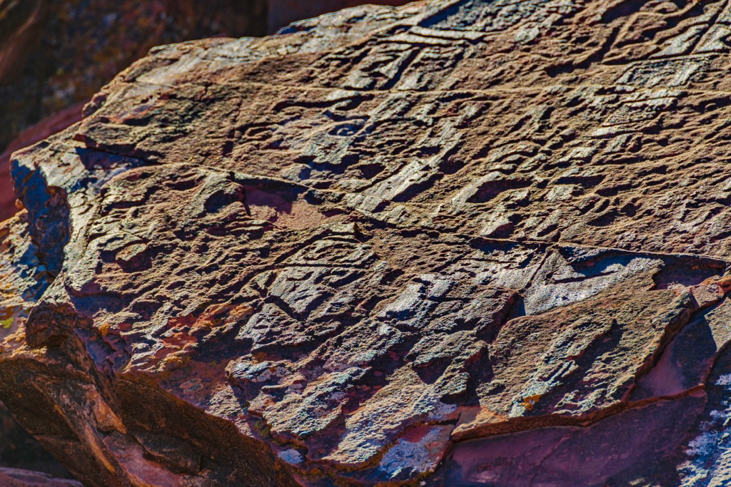 Petroglyphs art at talampaya national park, Argentina