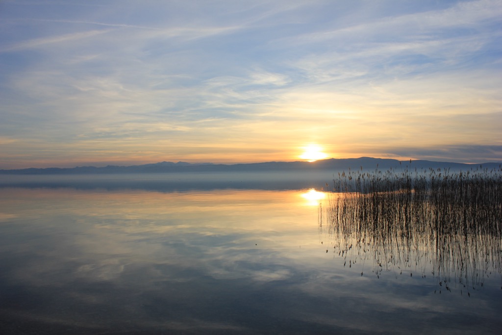 Critical wetland habitat filters out pollutants before runoff enters the lake. The remaining undeveloped slivers of shoreline are vital to the lake’s future. Lake Pogradec