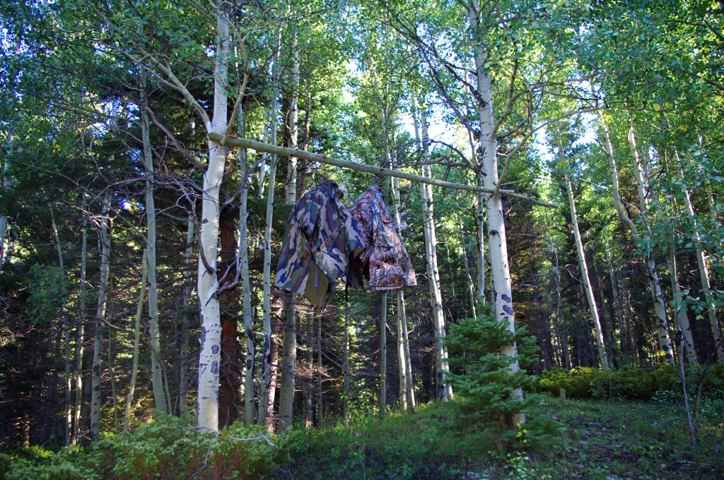 Bear bags hanging safely. Leave No Trace