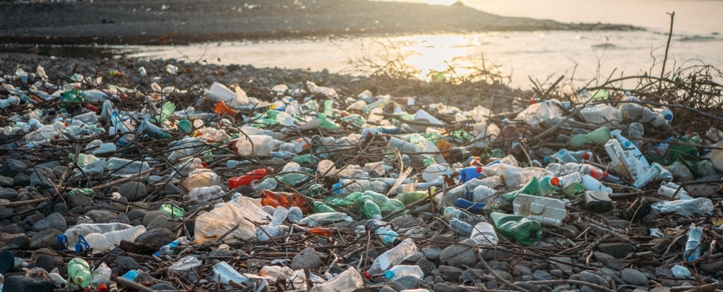 Trash in natural areas is still a problem in the U.S., but the situation has improved immensely with campaigns like LNT and laws and ordinances prohibiting littering. Leave No Trace
