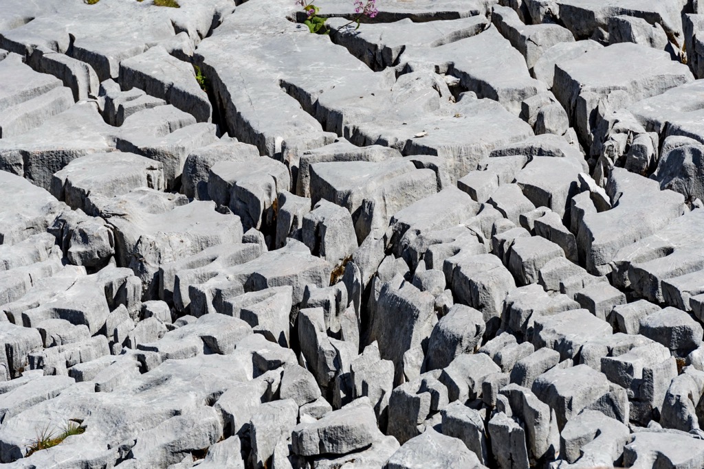 Karst rock formations in the Lechquellen Mountains. Lechquellen Mountains