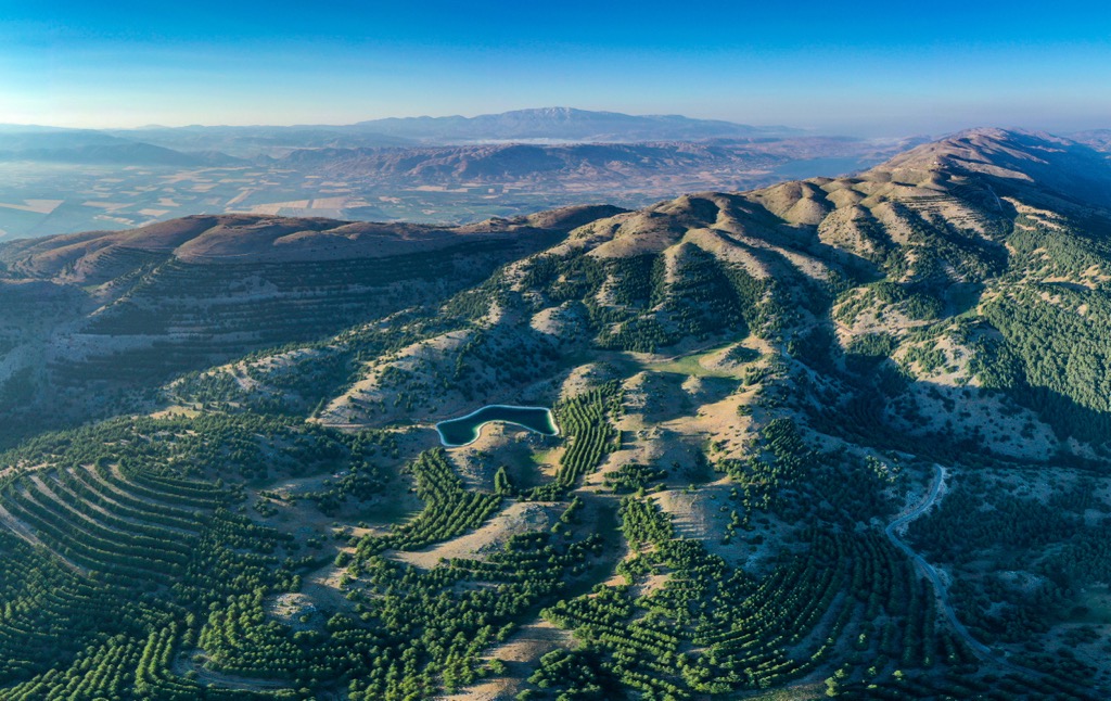 Al Shouf Cedar Nature Reserve in Lebanon. Levant Ranges