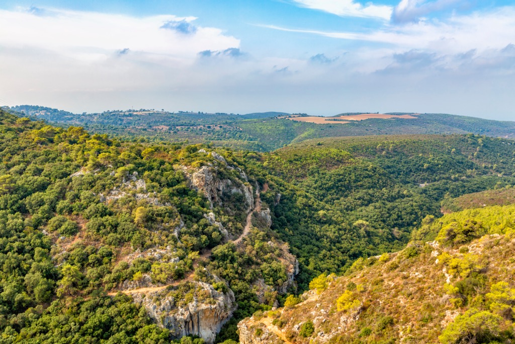 Mount Carmel National Park. Levant Ranges