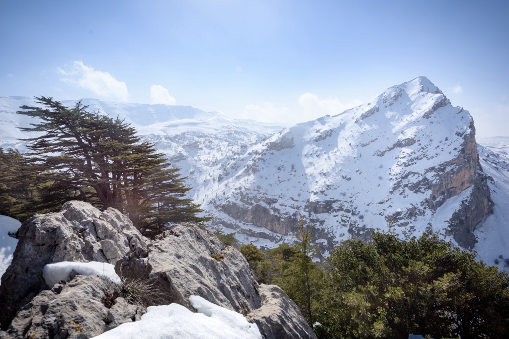 The Mount Lebanon Range in Tannourine Cedar Reserve. Levant Ranges