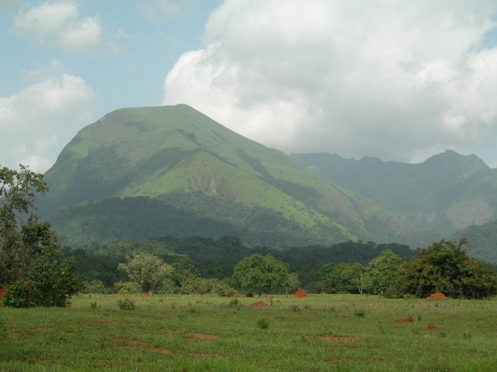 The Nimba Range. Liberia Mountains