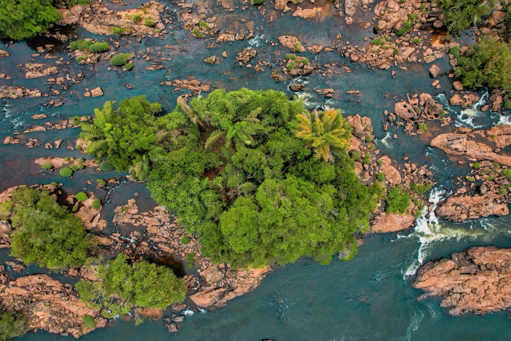 Mangrove forests along the coast. Liberia Mountains