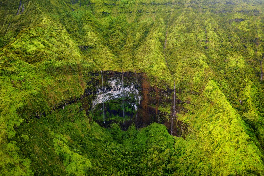 Līhu‘e-Kōloa Forest Reserve, Hawai’i