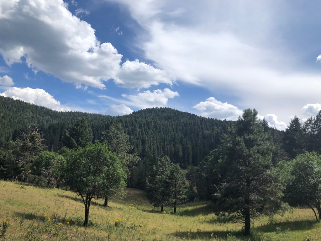 Lincoln National Forest, Guadalupe Mountains National Park, Texas, United States