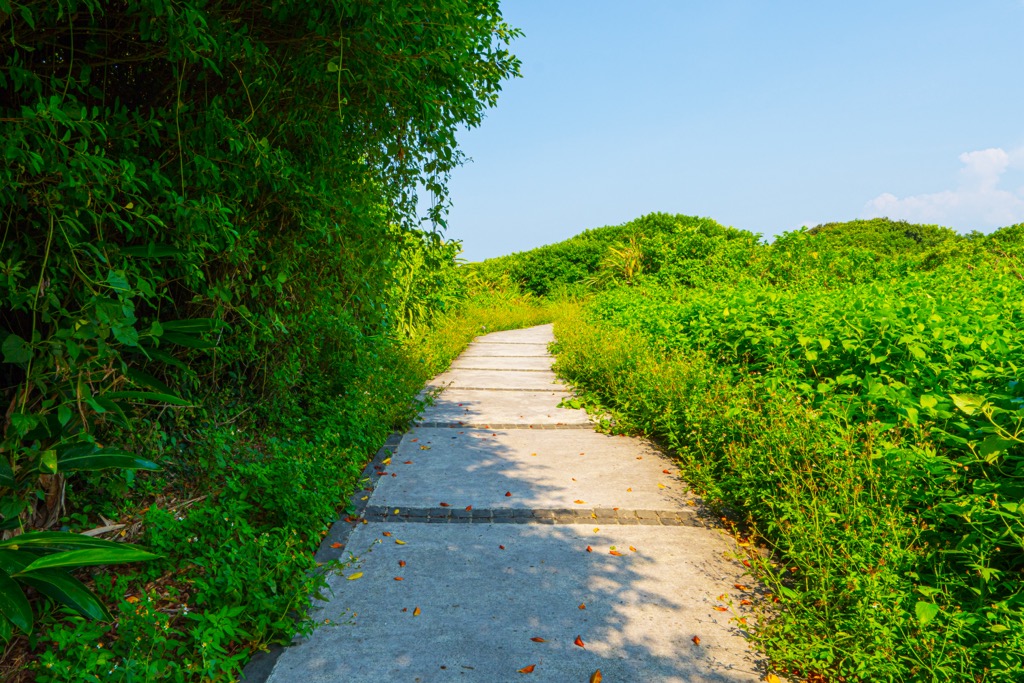 Linshanbi Nature Reserve, Taiwan