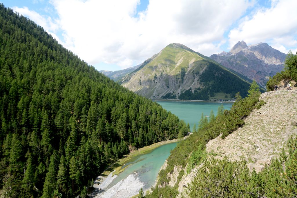 Forested mountain slopes on the edge of Lago di Livigno. Livigno Alps